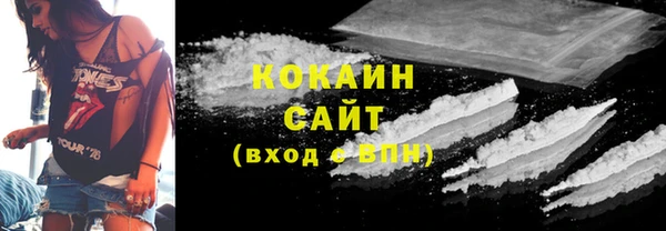 шишки Алексин