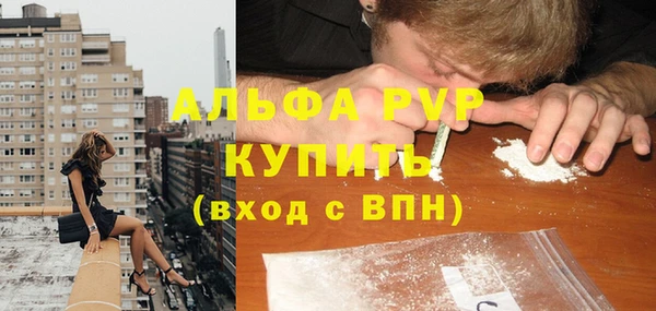 шишки Алексин