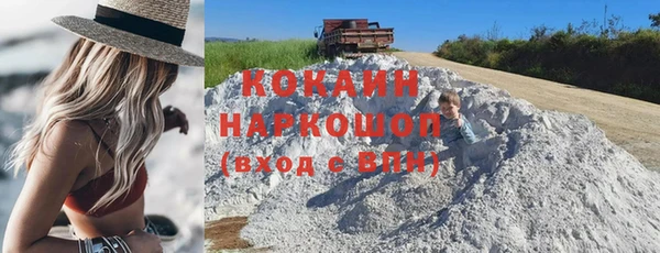 шишки Алексин